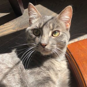 Meet your Posher, Lauren